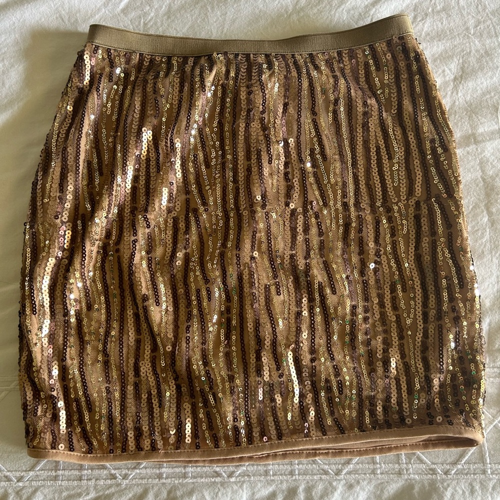 Sequined lined mini skirt with side zipper.
